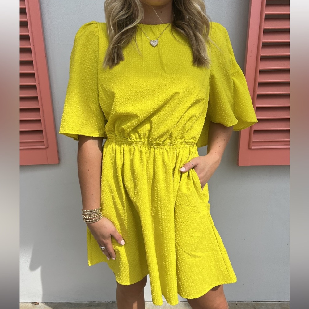 Essential Antwerp Dress